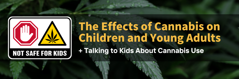 The Effects of Cannabis on Children and Young Adults